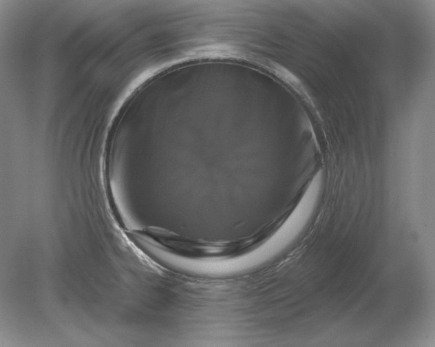 X0000079291334200612011714