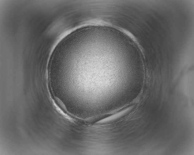 X0000079291335200612011714