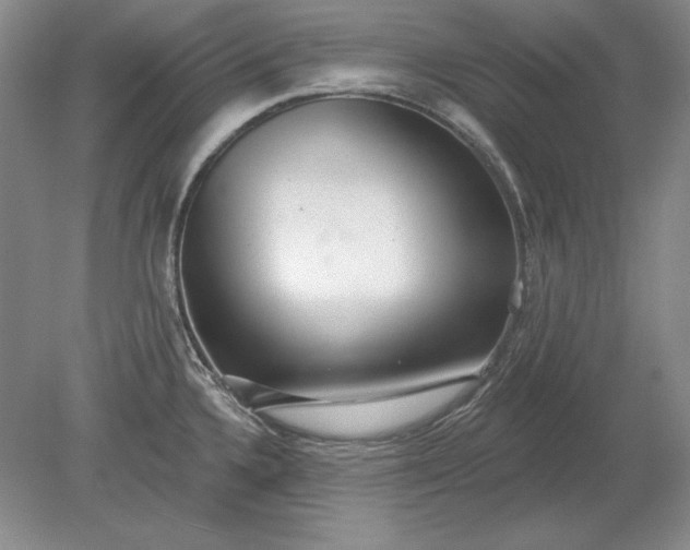 X0000079291336200612011714
