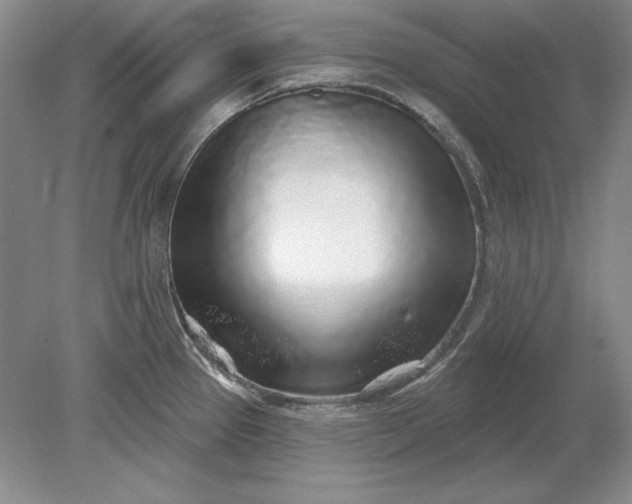 X0000079291337200612011714
