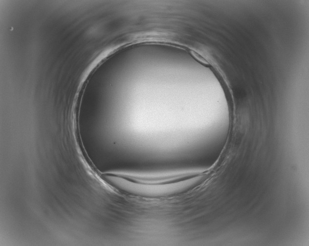 X0000079291341200612011714