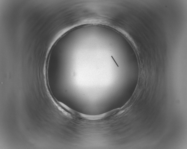 X0000079291343200612011714