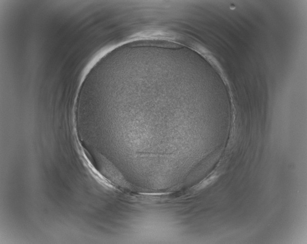X0000079291344200612011714