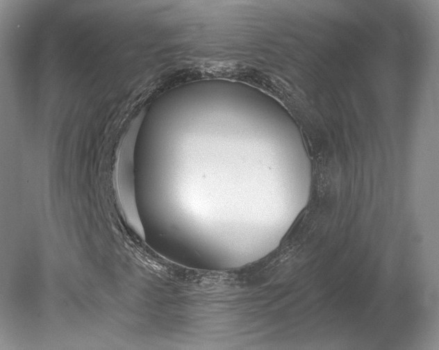 X0000079291345200612011713