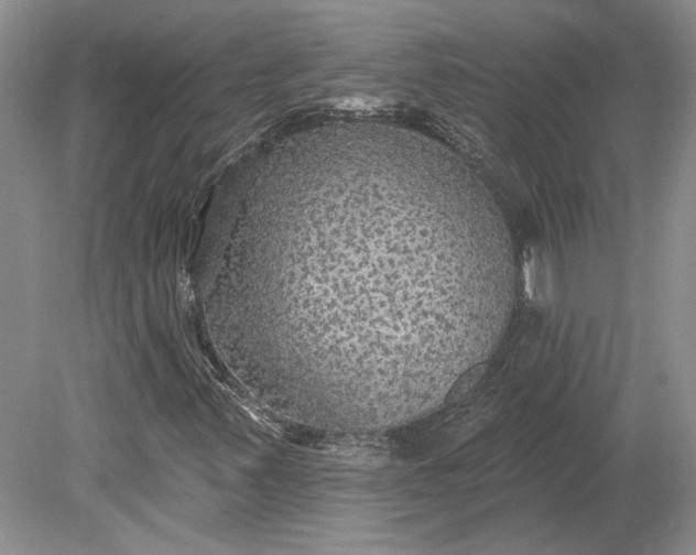 X0000079291347200612011713