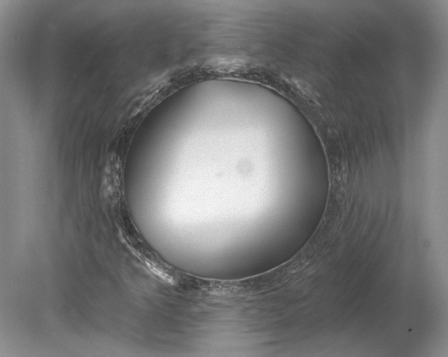 X0000079291349200612011713