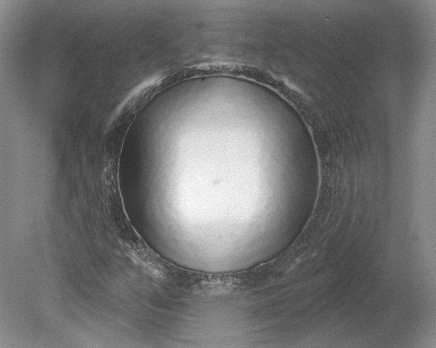 X0000079291351200612011713