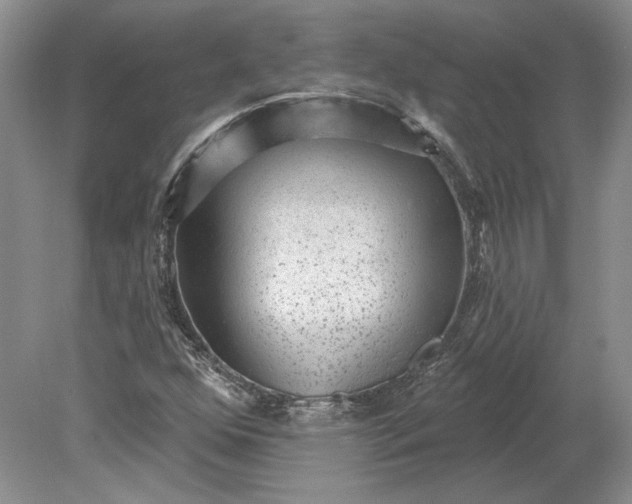 X0000079291352200612011713
