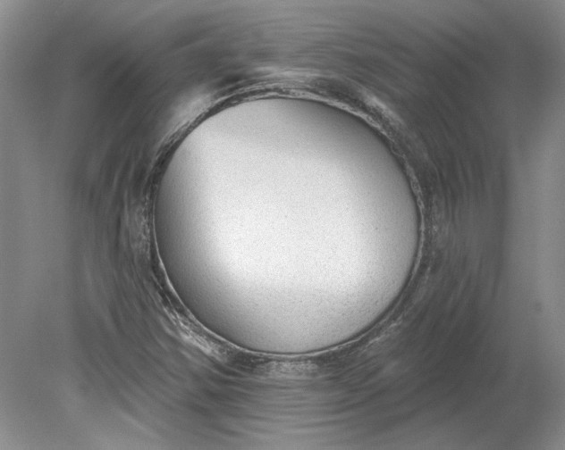 X0000079291354200612011713