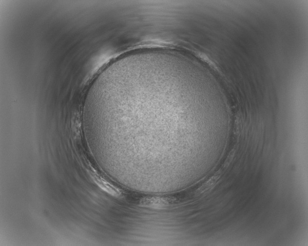 X0000079291355200612011713