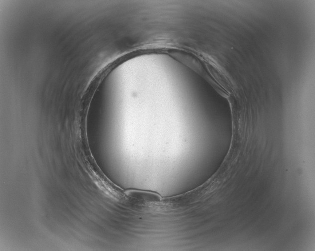 X0000079291356200612011713