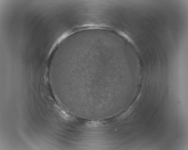 X0000079291357200612011713