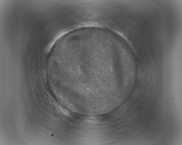 X0000079291359200612011713