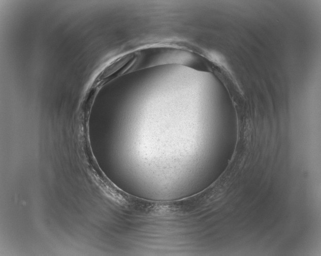 X0000079291360200612011713