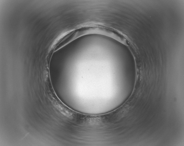 X0000079291363200612011713