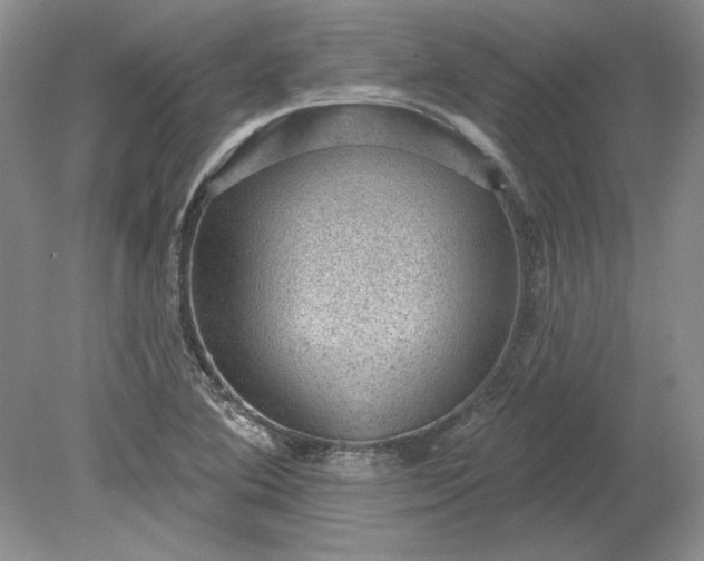 X0000079291364200612011713