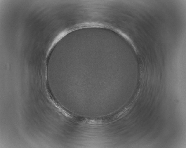 X0000079291365200612011713