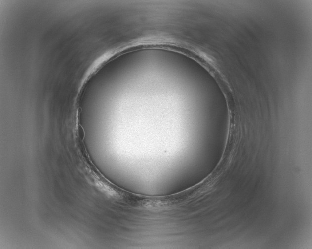 X0000079291366200612011713