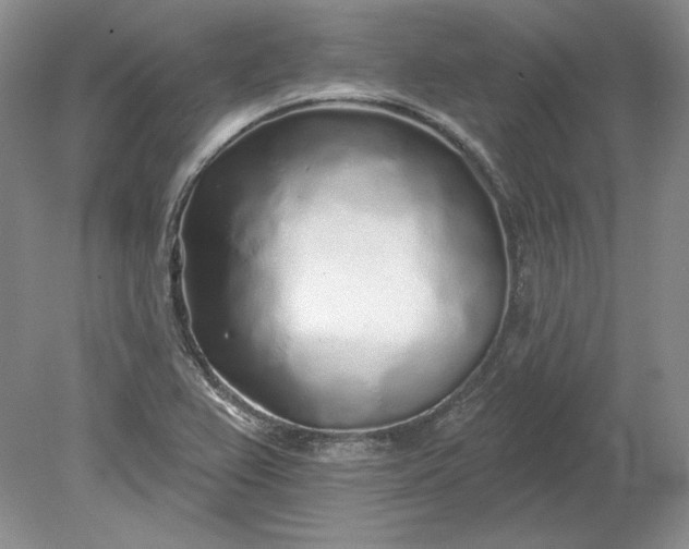 X0000079291367200612011713