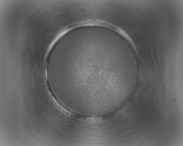 X0000079291368200612011713