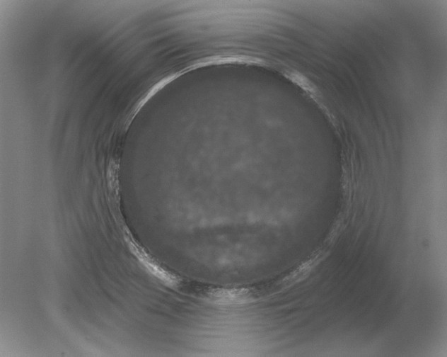 X0000079291369200612011713