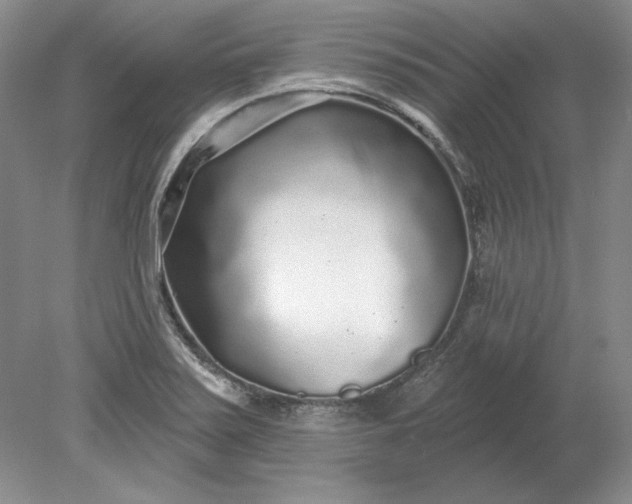 X0000079291371200612011713