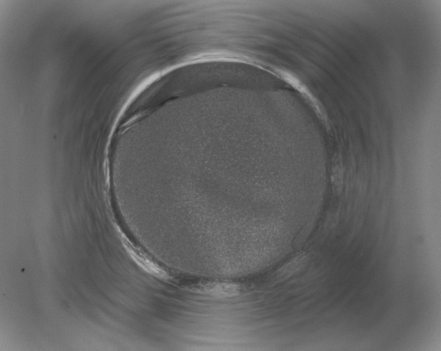 X0000079291372200612011713