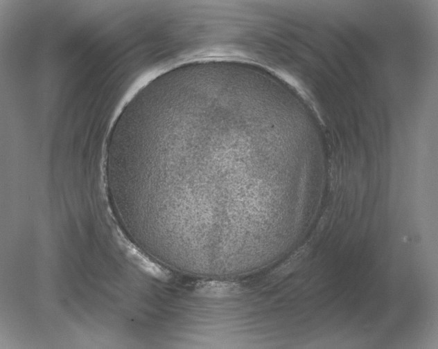 X0000079291374200612011713