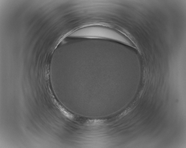 X0000079291377200612011713