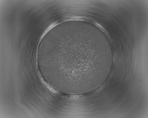 X0000079291378200612011713