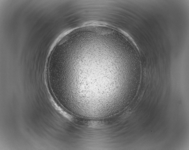 X0000079291379200612011713