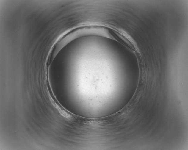 X0000079291380200612011713