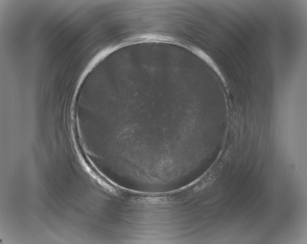 X0000079291381200612011713