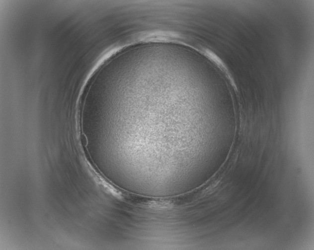 X0000079291384200612011713
