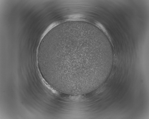 X0000079291386200612011713