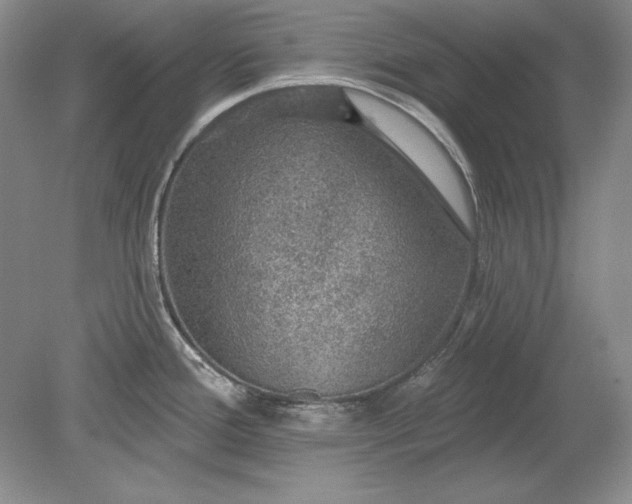 X0000079291388200612011713