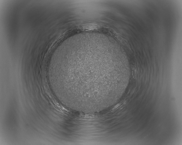 X0000079291393200612011712