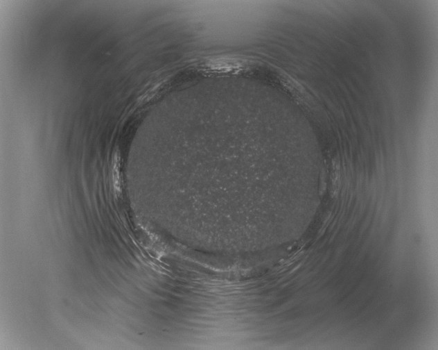 X0000079291394200612011712