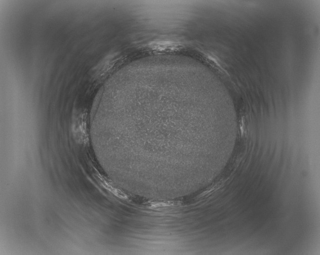 X0000079291396200612011712