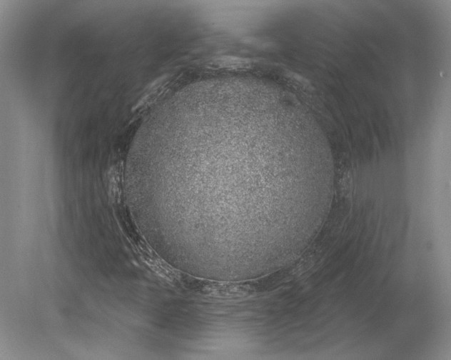 X0000079291397200612011712