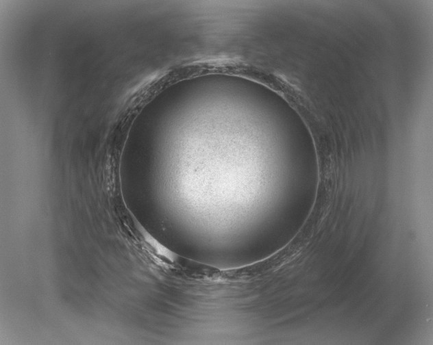 X0000079291398200612011712