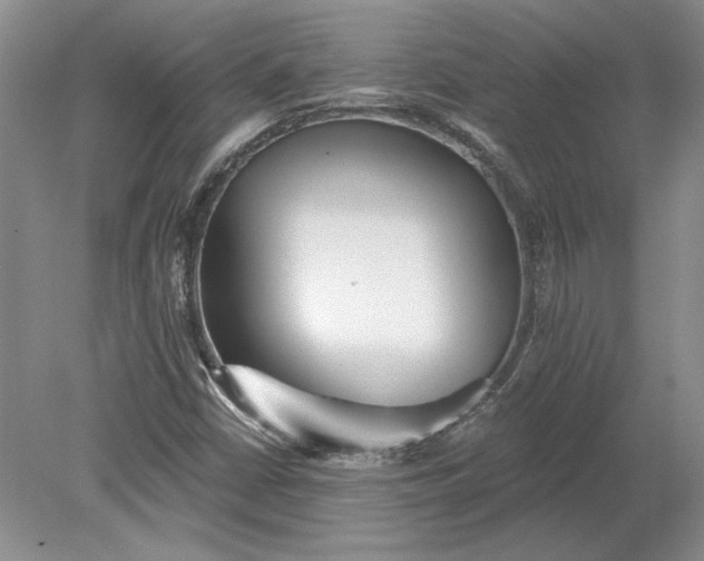 X0000079291402200612011712
