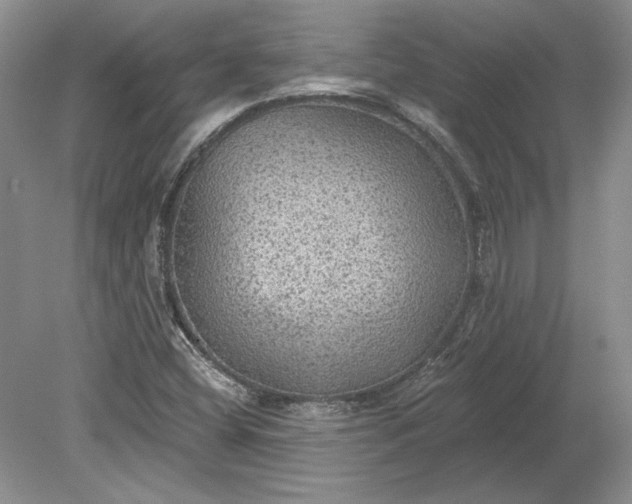 X0000079291404200612011712
