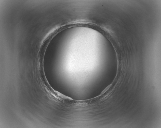 X0000079291406200612011712