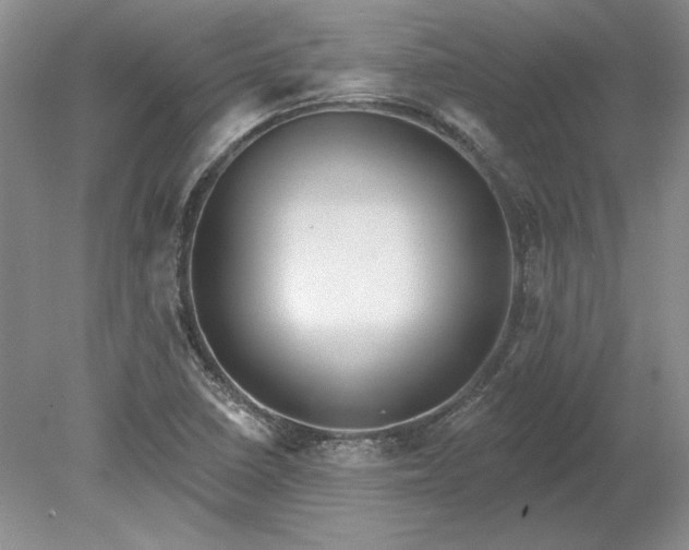 X0000079291410200612011712