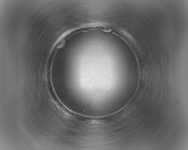X0000079291412200612011712