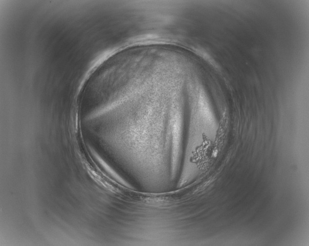 X0000079291413200612011712