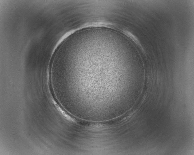 X0000079291420200612011712