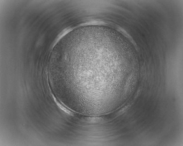 X0000079291425200612011712