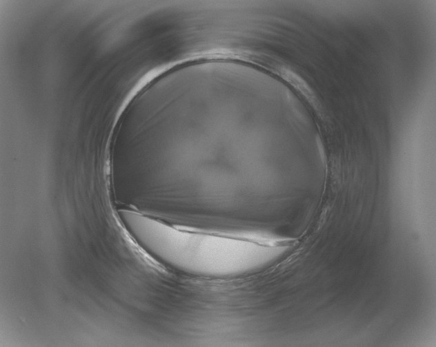 X0000079291428200612011712